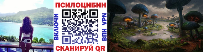 Галлюциногенные грибы MAGIC MUSHROOMS  Щучье 